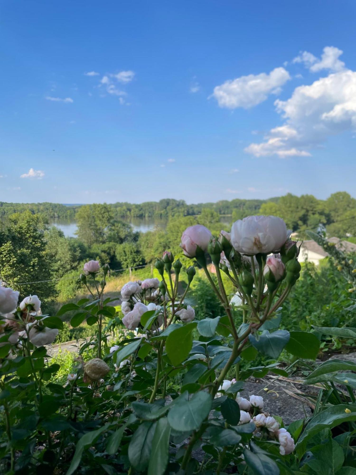 Gite Des Perreyeurs - Maison Troglodyte Avec Vue Sur Loire Montsoreau Exterior photo